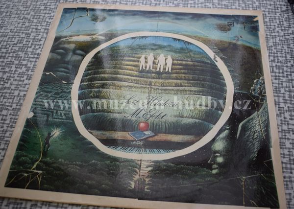 Modrý Efekt a Radim Hladík