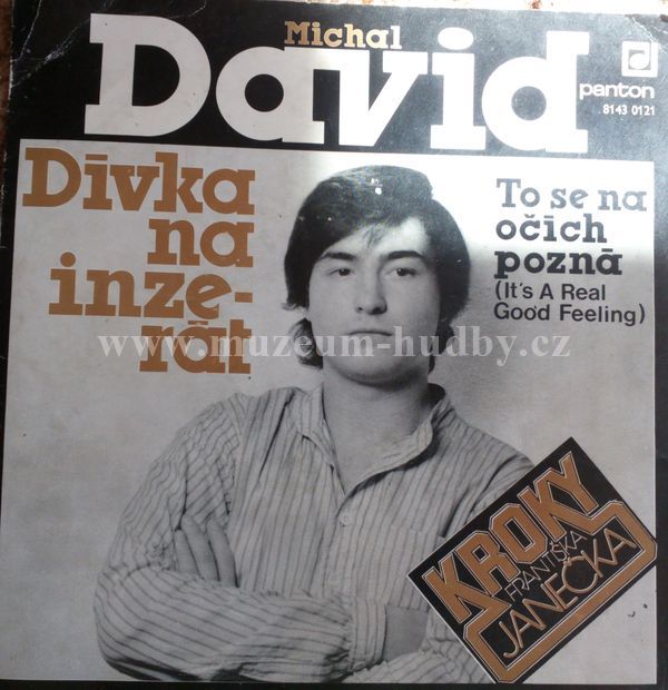 Michal David / Kroky Františka Janečka