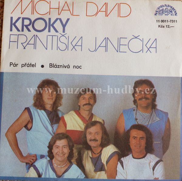 Michal David, Kroky Františka Janečka