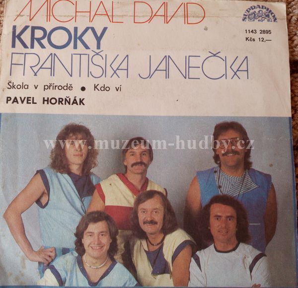 Michal David / Kroky Františka Janečka / Pavel Horňák