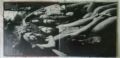 Steely Dan-Pretzel Logic