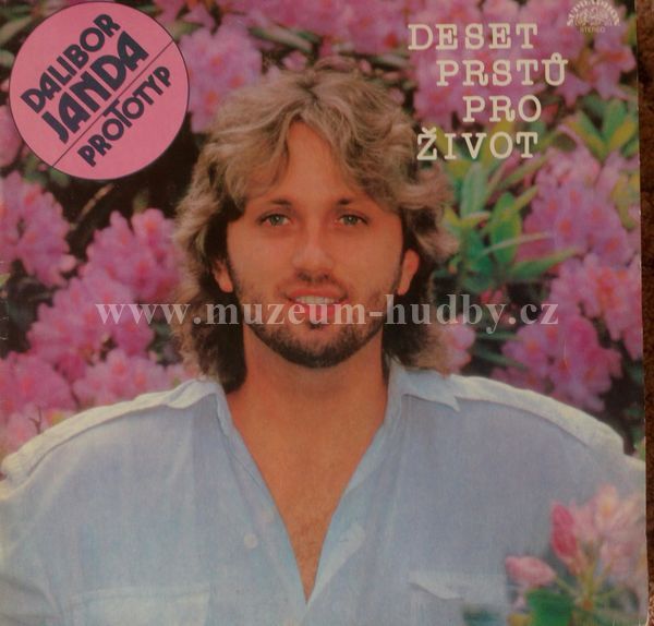 Dalibor Janda, Prototyp