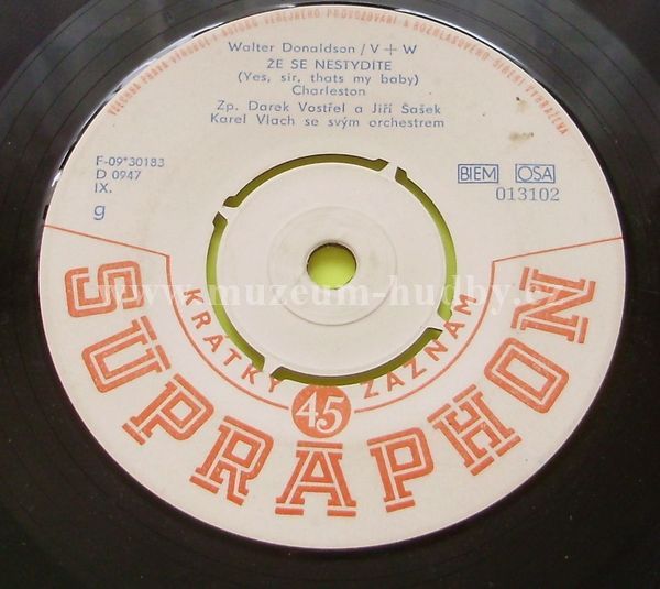 Darek Vostřel a Jiří Šašek / Eva Pilarová