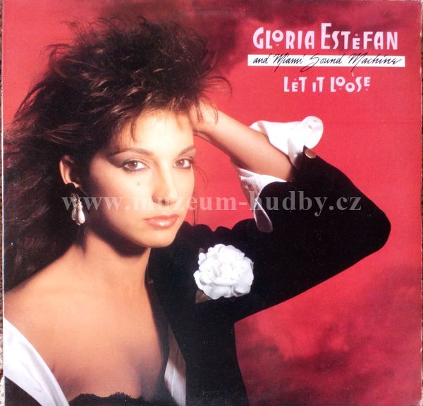 Gloria Estefan And Miami Sound Machine