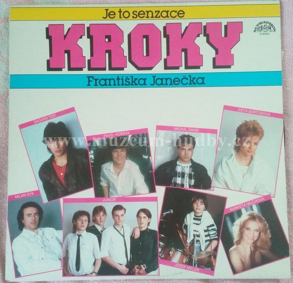 Kroky Františka Janečka