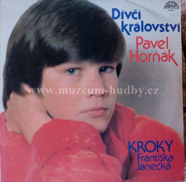 Pavel Horňák / Kroky Františka Janečka