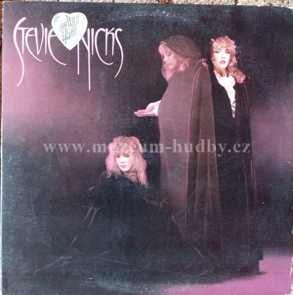 Stevie Nicks