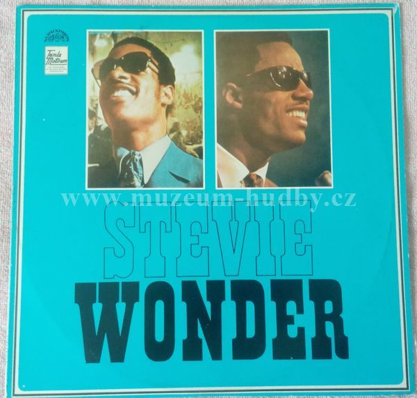 Stevie Wonder
