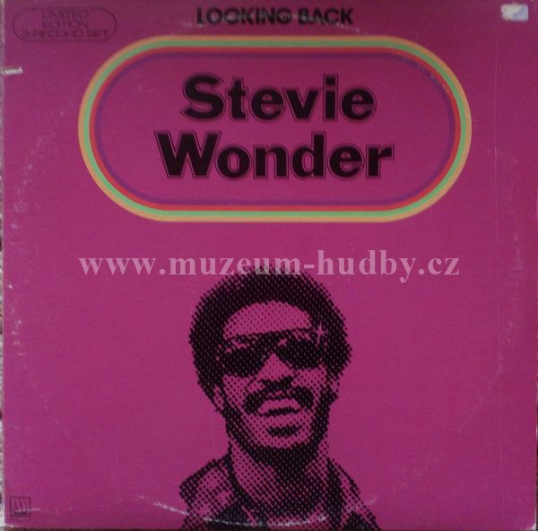 Stevie Wonder