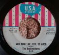 The Buckinghams-Kind Of A Drag / You Make Me Feel So Good