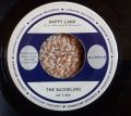 The Bachelors-Diane / Happy Land