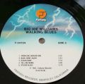 Big Joe Williams-Walking Blues