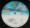 Big Joe Williams-Walking Blues