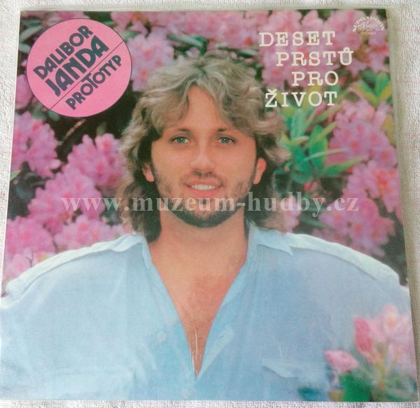 Dalibor Janda, Prototyp