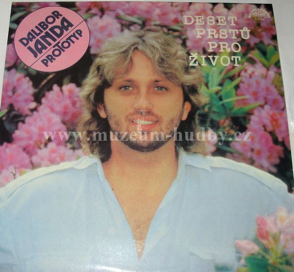 Dalibor Janda, Prototyp