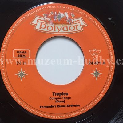 Fernrnando's Revue-Orchester