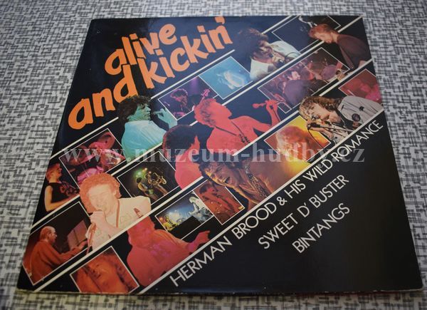 Herman Brood And His Wild Romance, ...