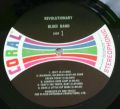 Revolutionary Blues Band-Revolutionary Blues Band