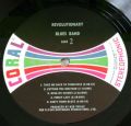 Revolutionary Blues Band-Revolutionary Blues Band