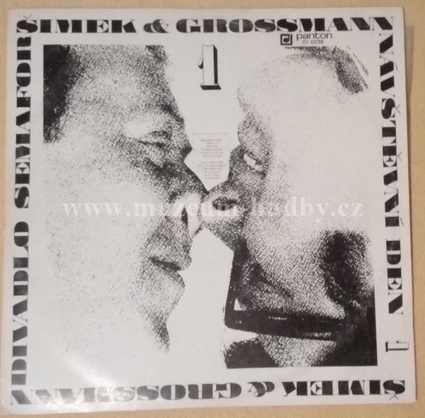 Šimek & Grossmann