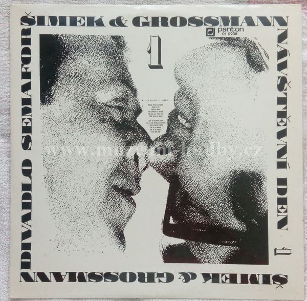 Šimek & Grossmann