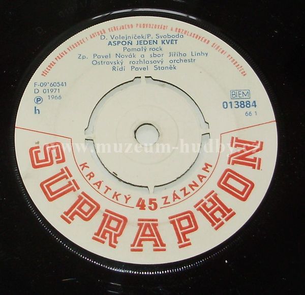 Vlasta Bláhová / Pavel Novák