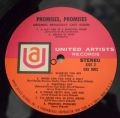 David Merrick-Promises, Promises