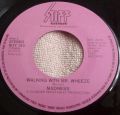 Madness-Our House