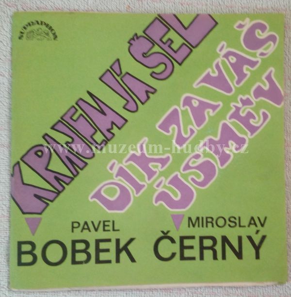 Pavel Bobek / Miroslav Černý