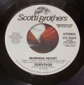 Survivor-Burning Heart / Feels Like Love