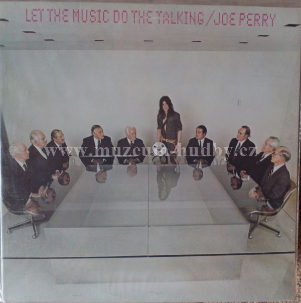 The Joe Perry Project