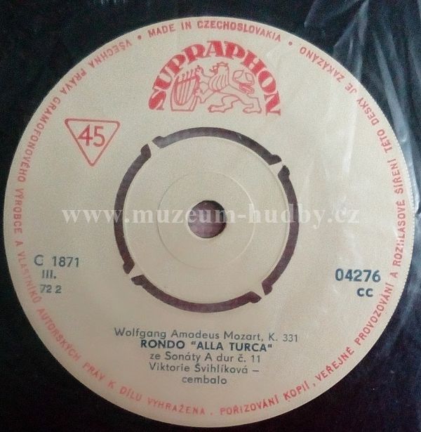 Viktorie Švihlíková / Zuzana Růžičková