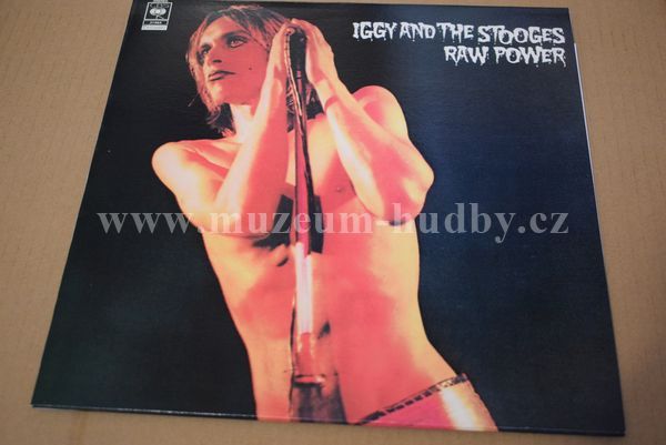 Iggy And The Stooges