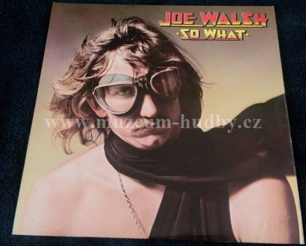 Joe Walsh