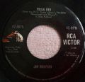 Jim Reeves-Is It Really Over?/ Rosa Rio