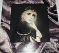 Stevie Nicks-The Wild Heart
