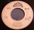 Karel Gott-Léto Jak Má Být (Working My Way Back To You Baby) / Daň Z Lásky Své