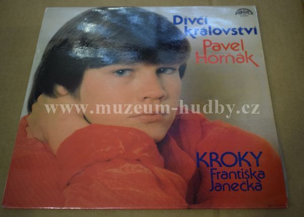 Pavel Horňák, Kroky Fr. Janečka