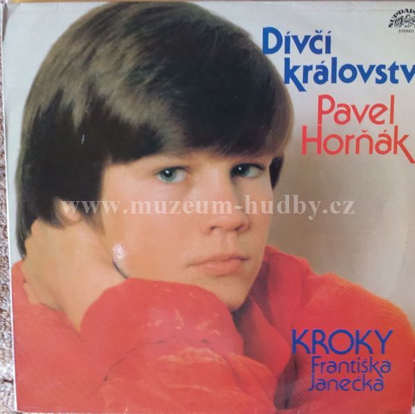 Pavel Horňák / Kroky Františka Janečka