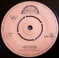 Petra Černocká-Jarní Kalendář / Pampeliška