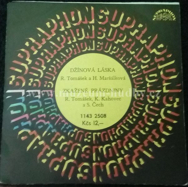 R. Tomášek, H. Maršálková, K, Kahovec, S. Čech