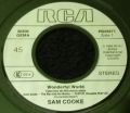 Sam Cooke-Wonderful World