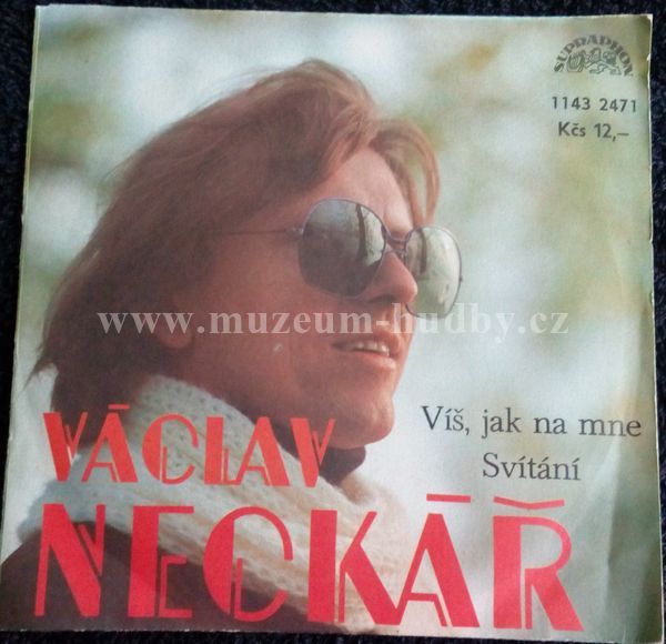Václav Neckář