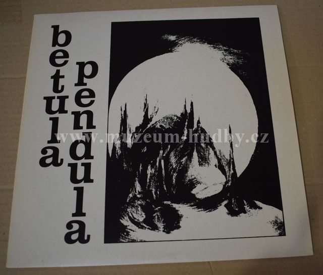 Betula Pendula
