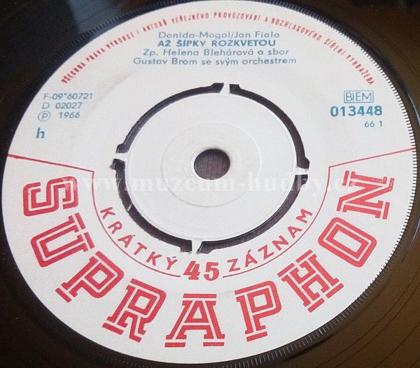 Helena Blehárová/ Štěpán Mátl