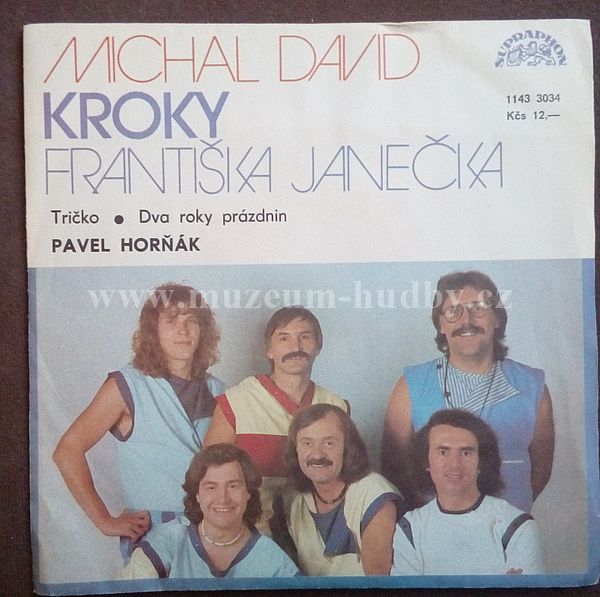 Michal David, Kroky Františka Janečka, Pavel Horňák