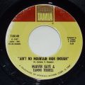 Marvin Gaye & Tammi Terrell-Ain't No Mountain High Enough / Give A Little Love