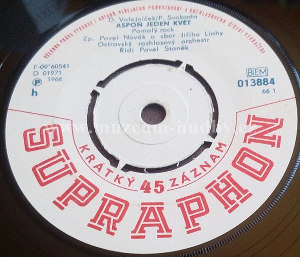 Pavel Novák/ Vlasta Bláhová