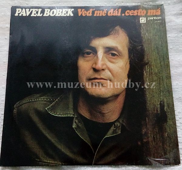 Pavel Bobek