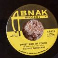 The Five Americans-Zip Code / Sweet Bird Of Youth